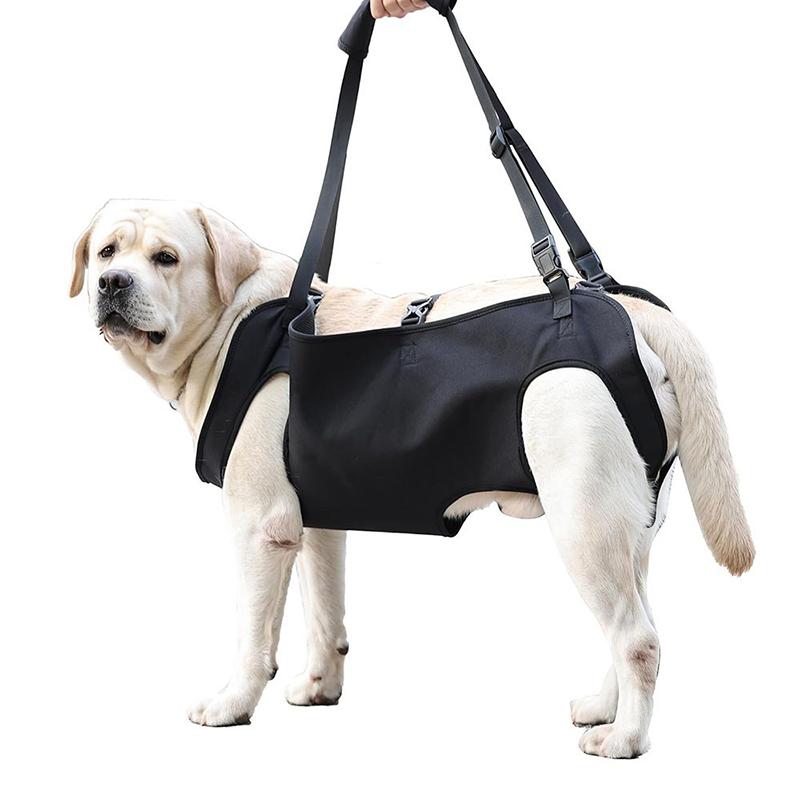 Harness Climbing Adjustable - Hundetreppe-Hilfsgurt für Ältere Hunde, Verstellbare Hebegurtweste,