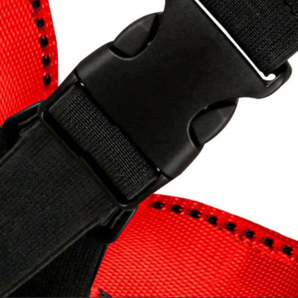 Taillenstützgurt für Outdoor-S – Harness Climbing Adjustable Bewertung und Preis