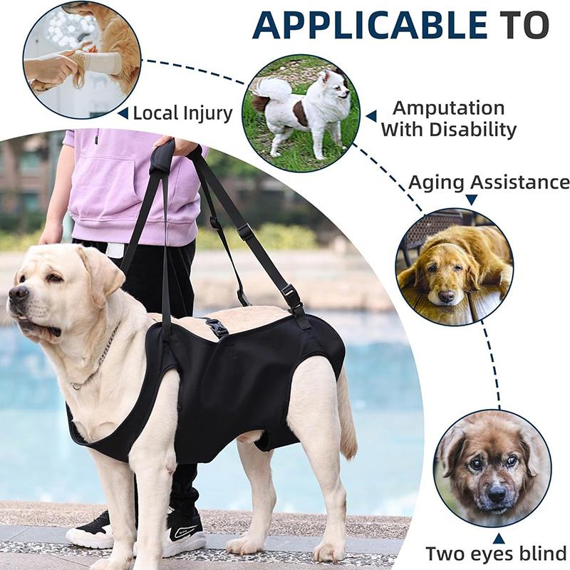 Hundetreppe-Hilfsgurt für Älte – Harness Climbing Adjustable Bewertung und Preis