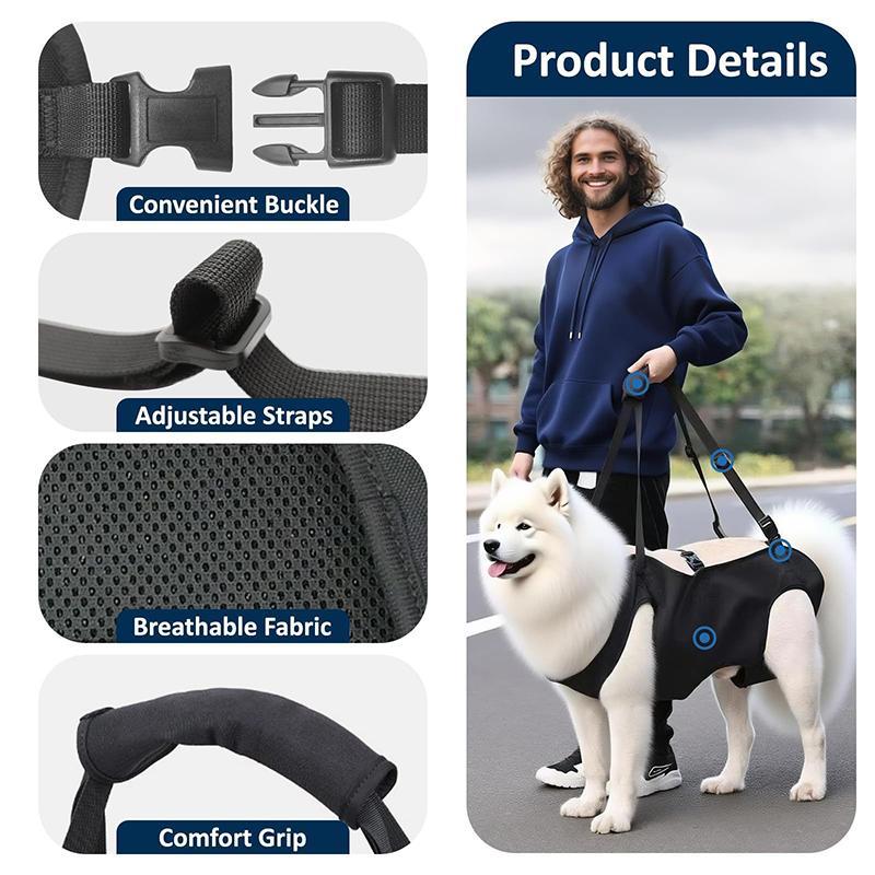 Hundetreppe-Hilfsgurt für Älte – Harness Climbing Adjustable Bewertung und Preis