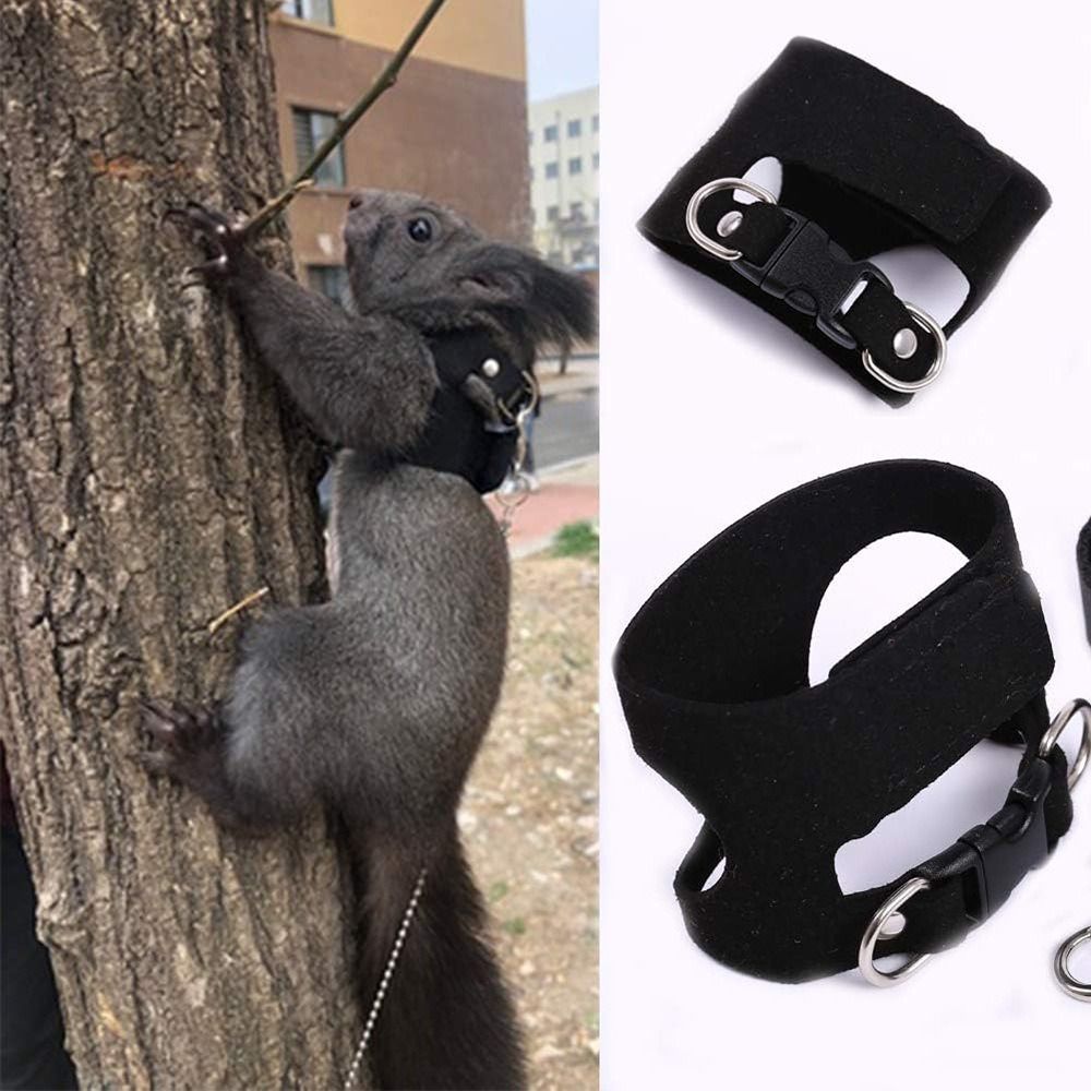 Verstellbares Ratten-Geschirr  – Harness Climbing Adjustable Bewertung und Preis
