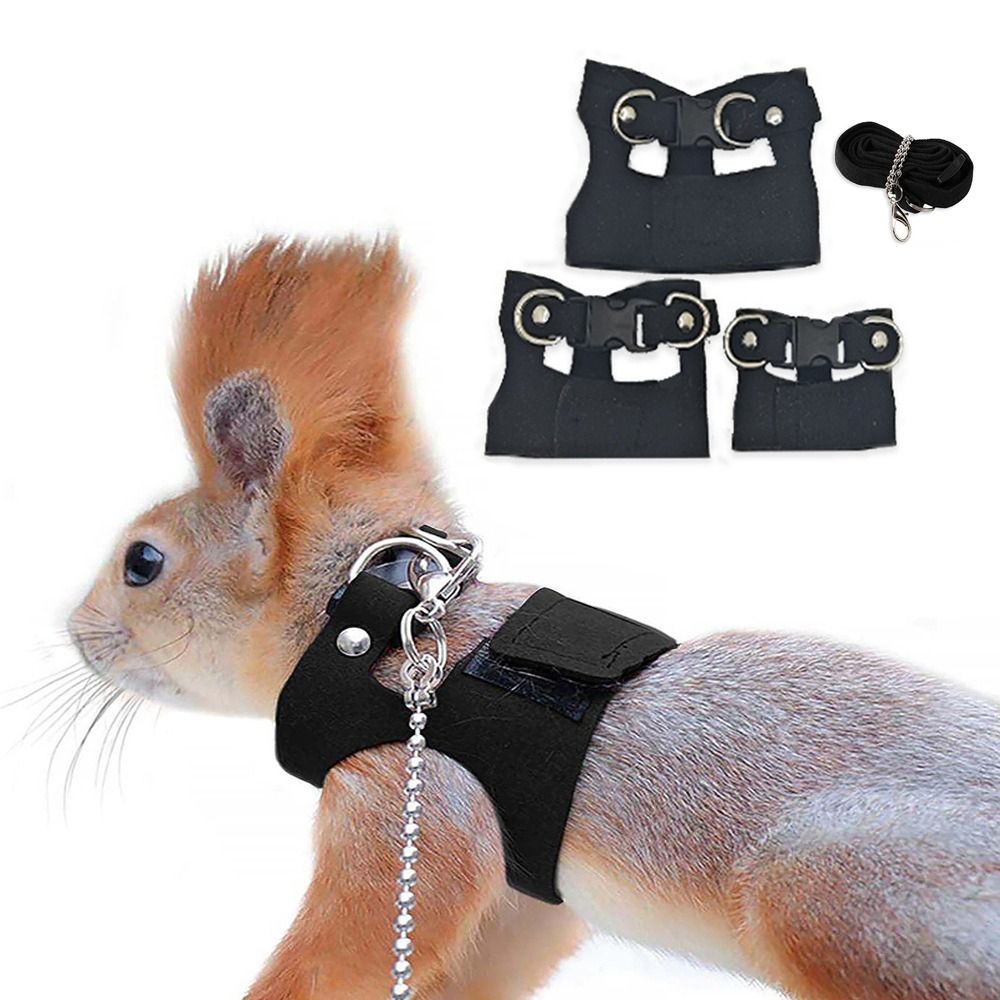 Verstellbares Ratten-Geschirr  – Harness Climbing Adjustable Bewertung und Preis
